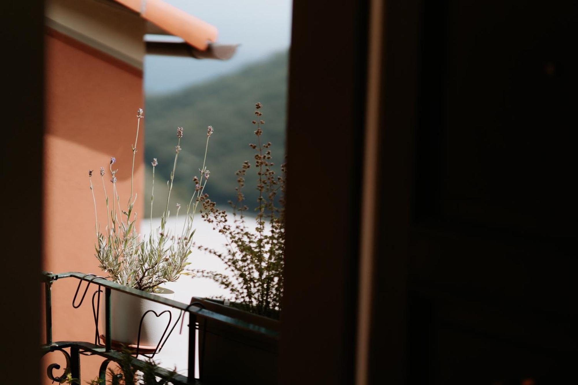 Il Castagno Holiday Home Teriasca Exterior photo